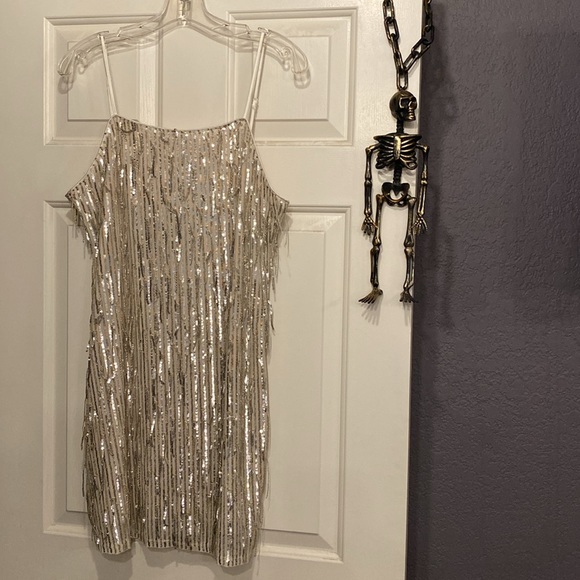 ALTAR’D STATE - dress: silver mesh w allover sequin fringe, lined w zipper - XL - Picture 8 of 16